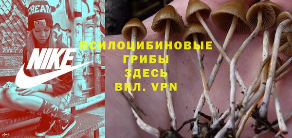 дживик Аркадак