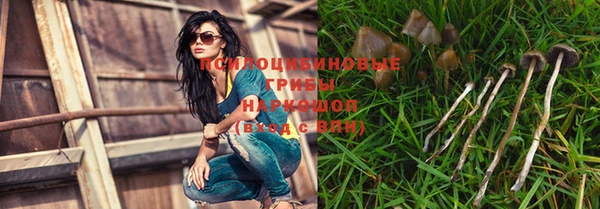 дживик Аркадак
