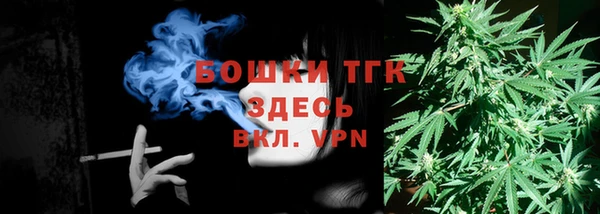 дживик Аркадак