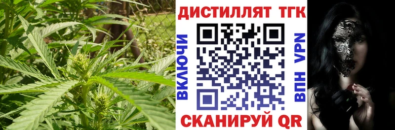 Купить  Байкальск  ТГК концентрат 